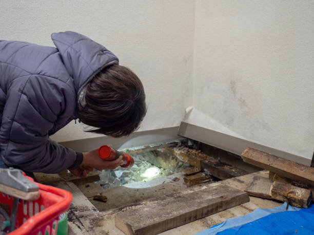 Best Biohazard Mold Removal  in Ellinwood, KS